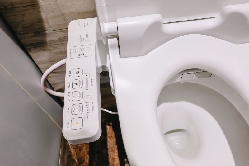 High-Tech Toilet and Bidet